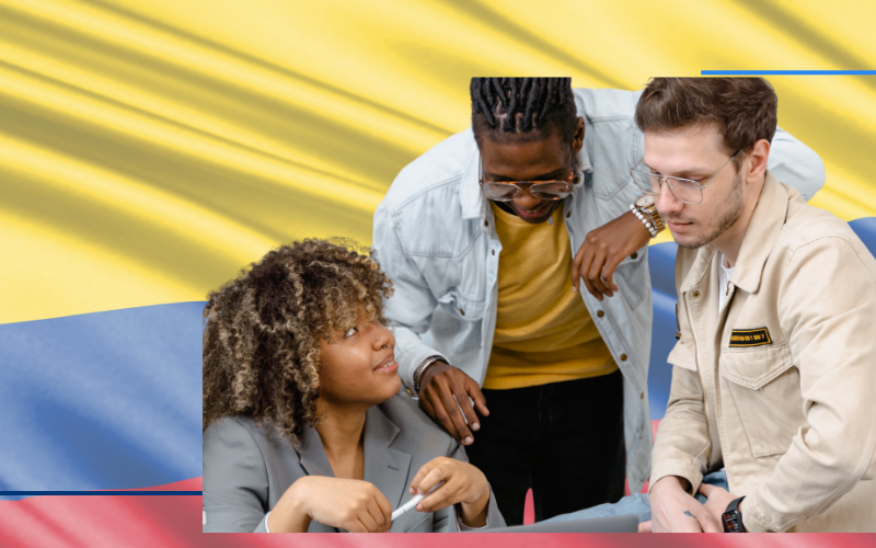 Análisis de Aplicación: Norma Internacional para Entidades sin Fines de Lucro (INPAS) en Colombia